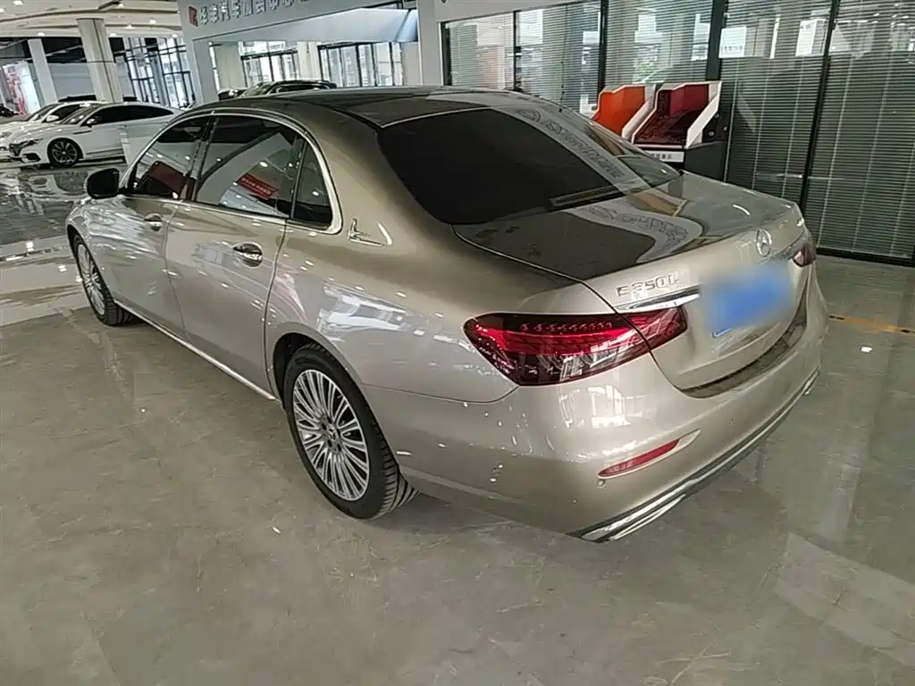Mercedes-Benz E-Class 2021 E 300 L Luxury фото 5