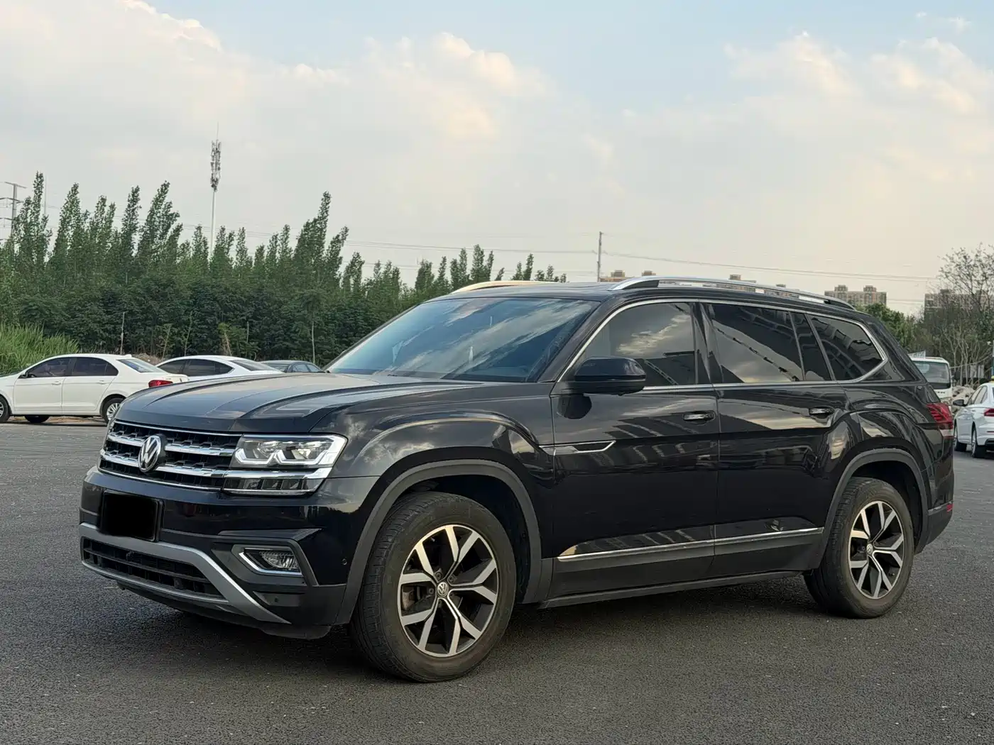 Volkswagen Teramont 2019 330TSI 2WD Luxury China VI