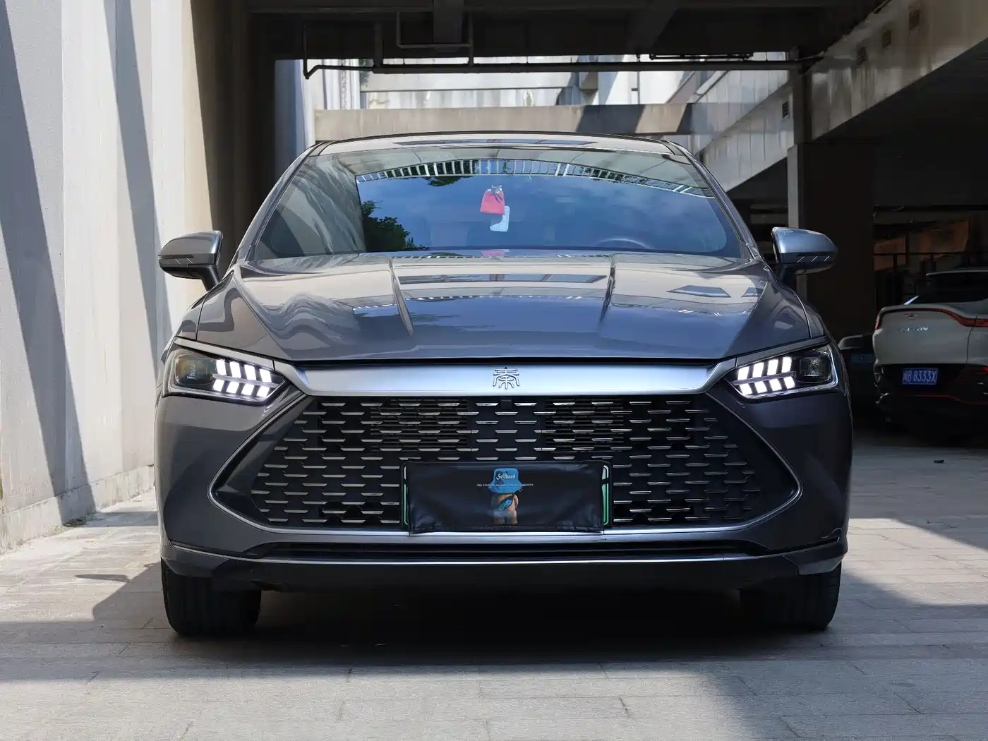 BYD Qin PLUS 2024 Glory Edition DM-i 55KM Leading фото 2