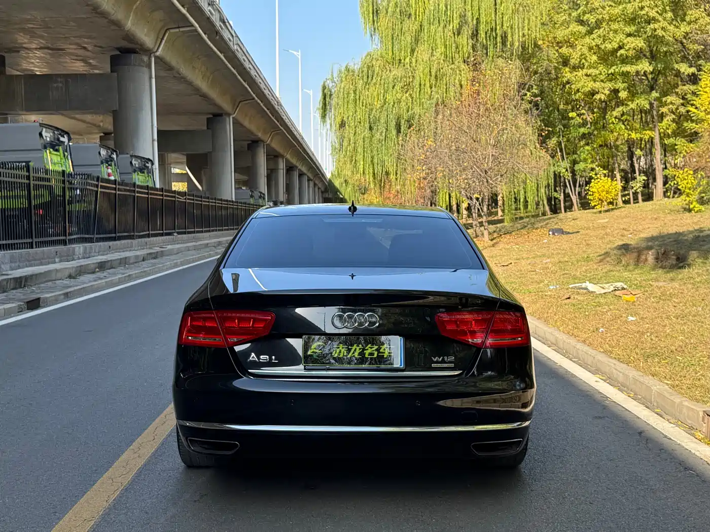 Audi A8 2013 A8L 50 TFSI quattro Premium фото 13