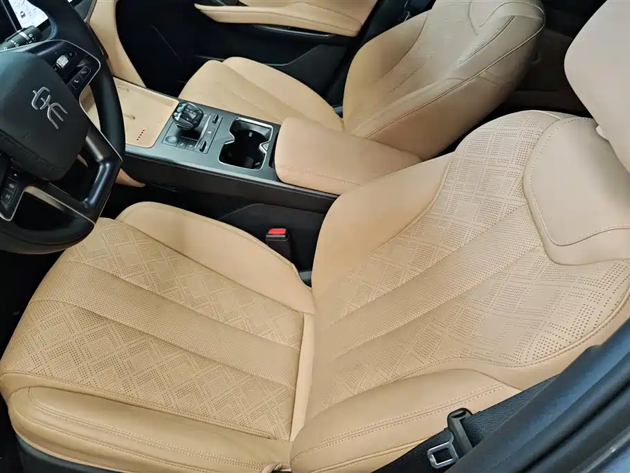 BYD Song L DM-i 2024 112km Leading Edition фото 9