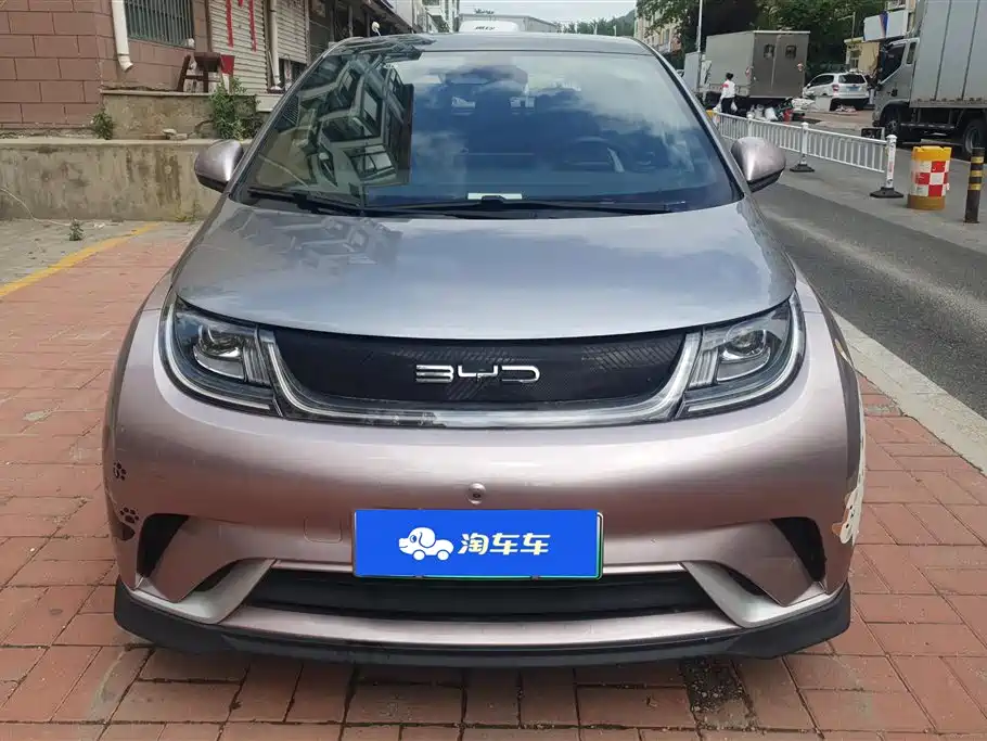 BYD Dolphin 2021 401km Knight Edition фото 2