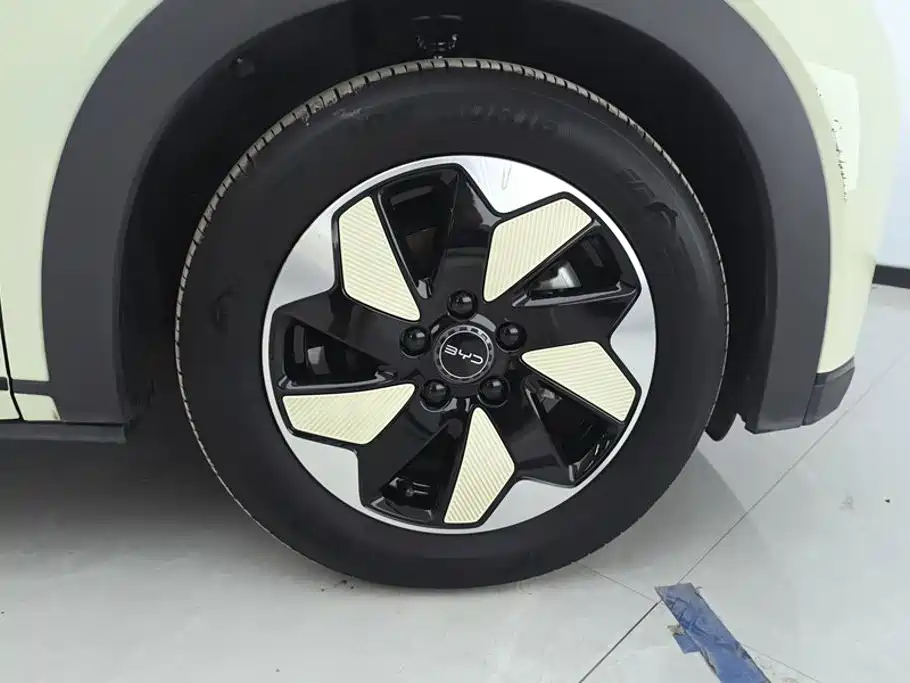 BYD Dolphin 2025 2025 420km Freedom Edition