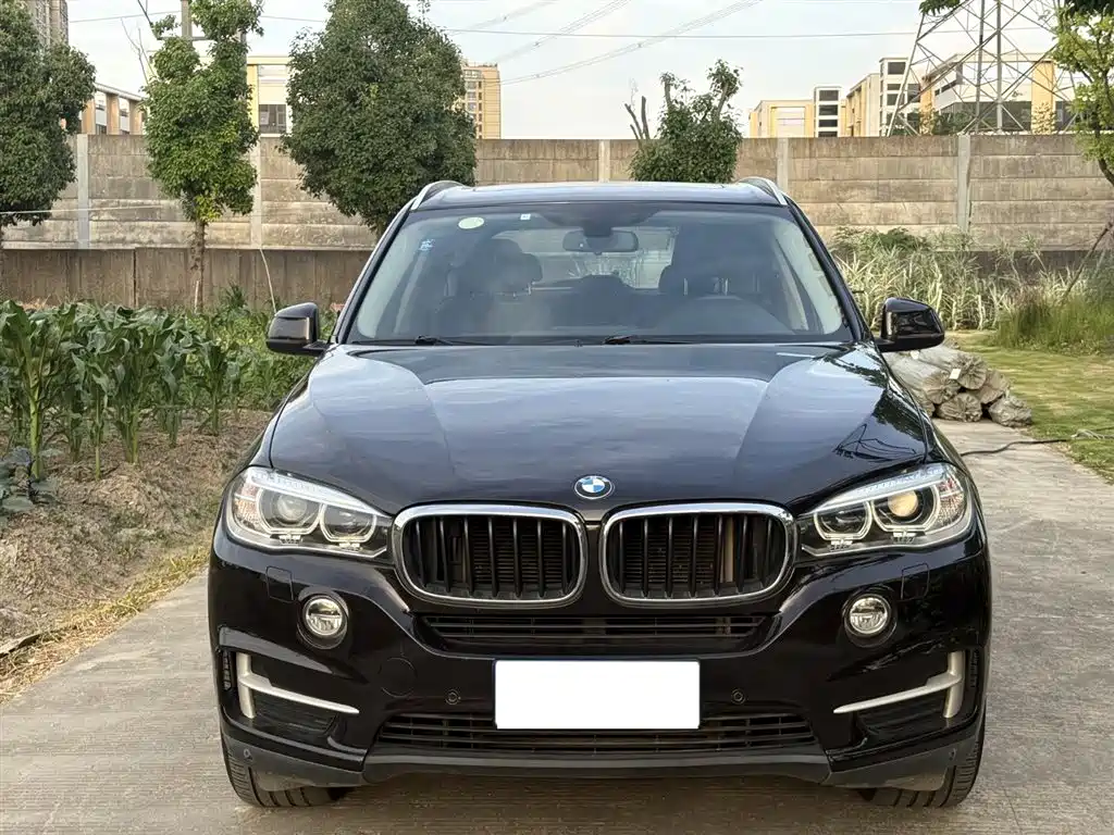 BMW X5 (Import) 2014 xDrive35i Elegance фото 2