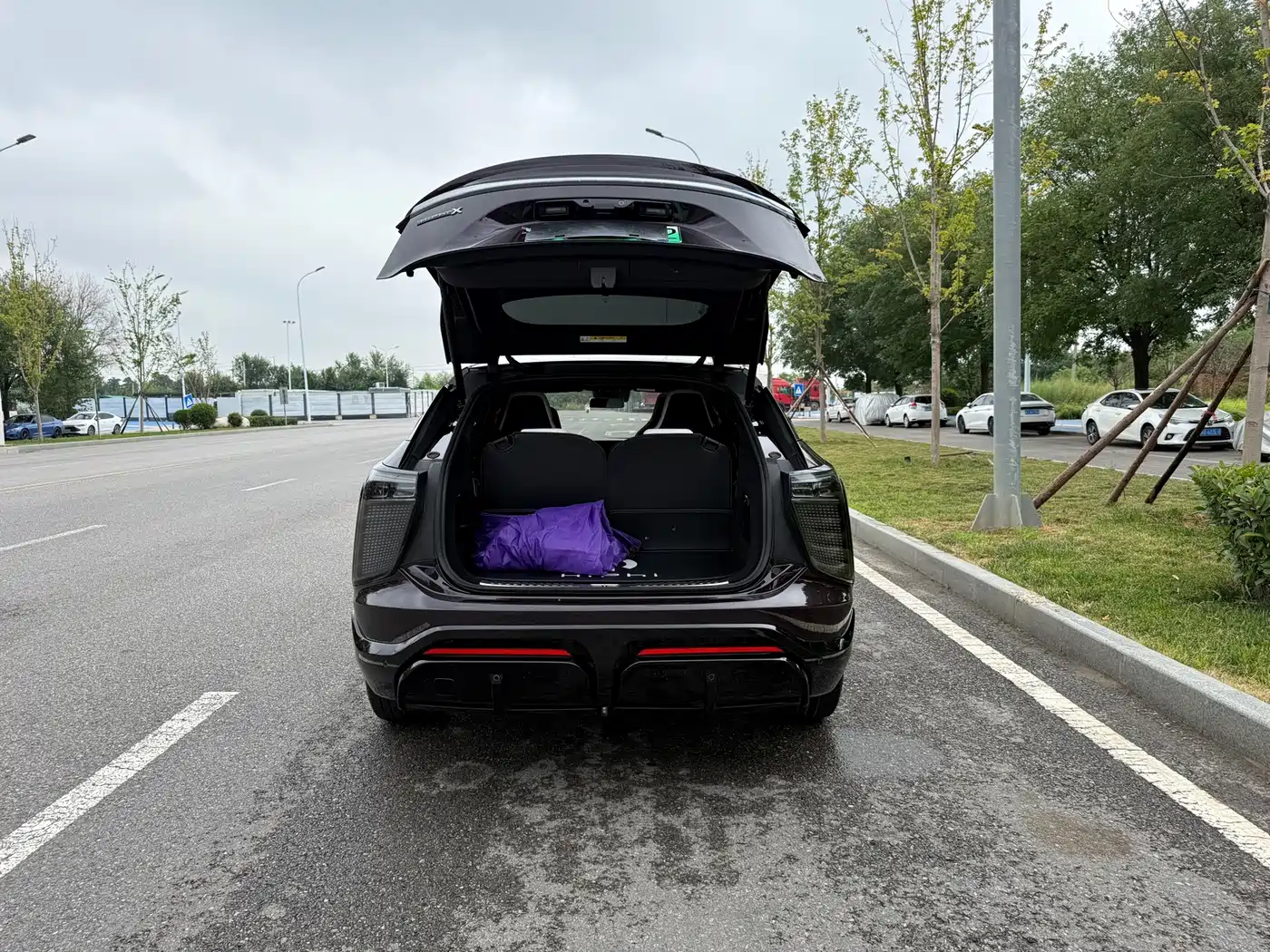 HiPhi X 2021 2021 Luxury Edition 6-Seater