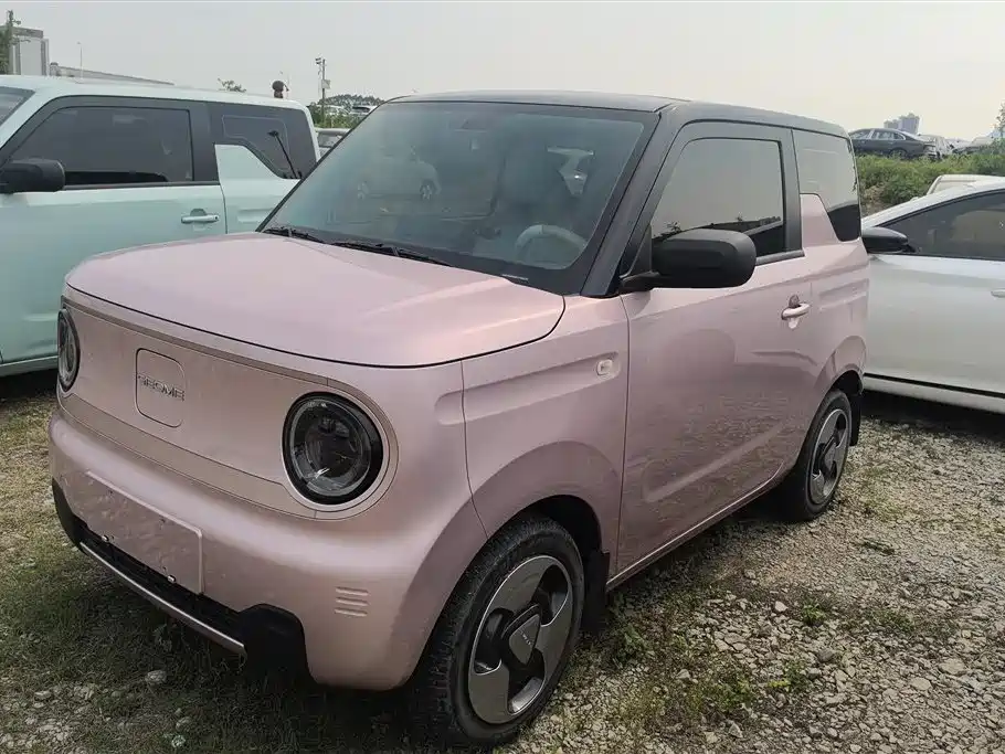 Geely Galaxy Panda 2023 Panda Mini 200km Lively Bear