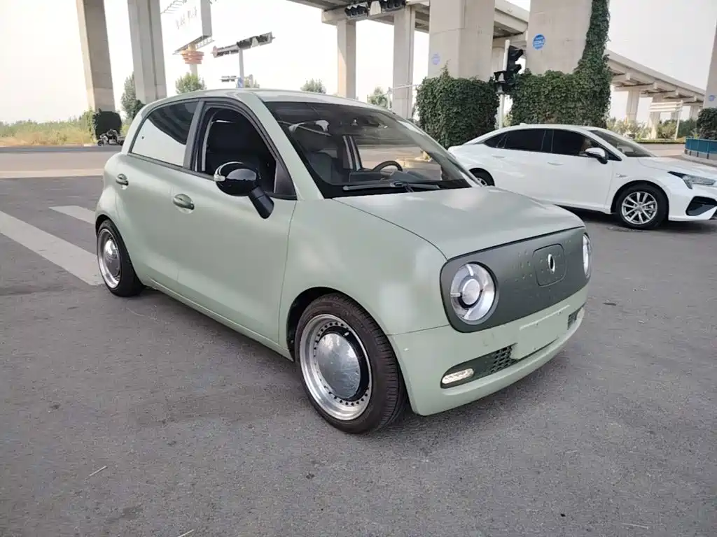 Ora Black Cat 2020 2021 351km Luxury Model
