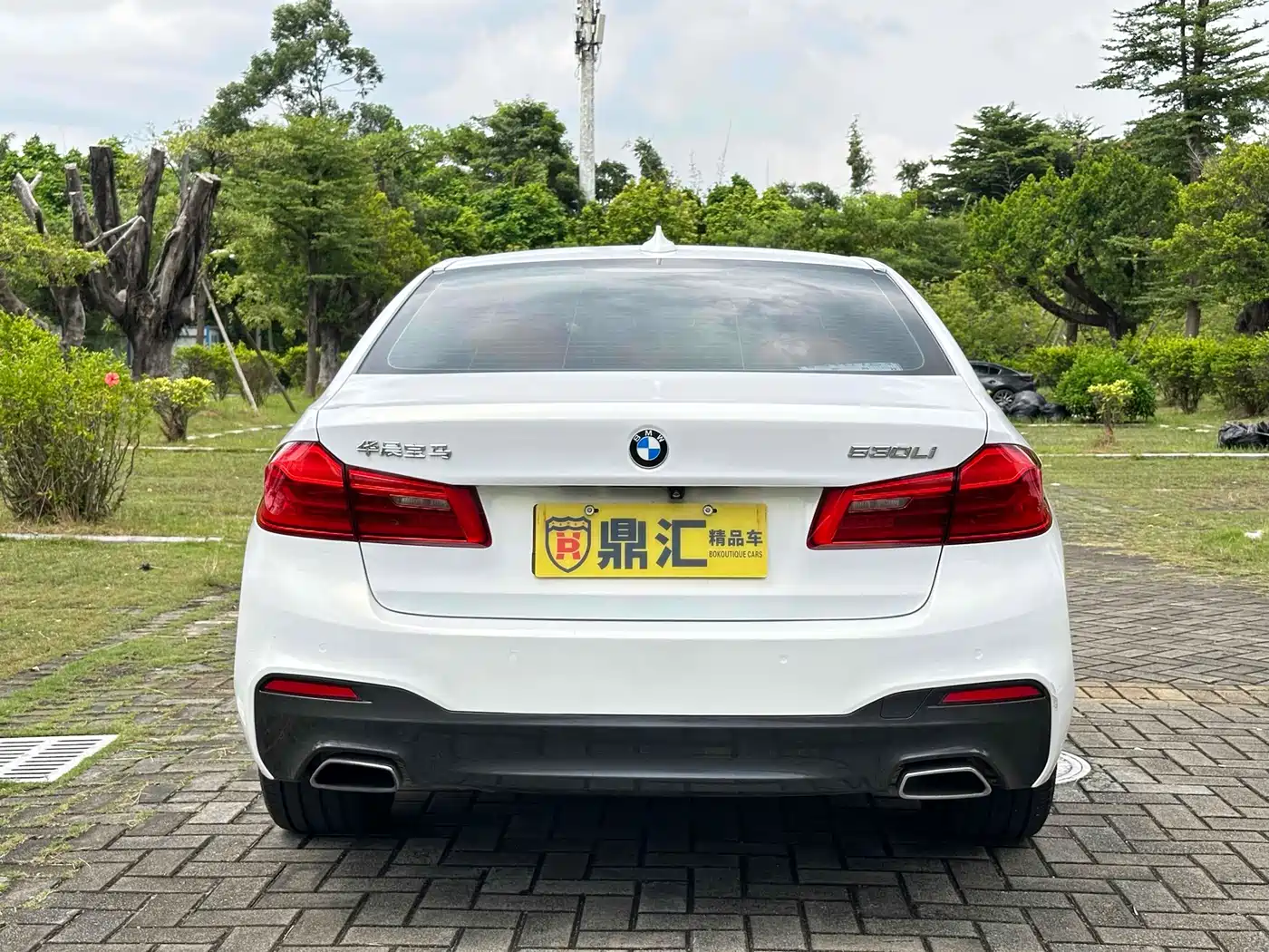 BMW 5 Series 2019 530Li Leading M Sport Package фото 3