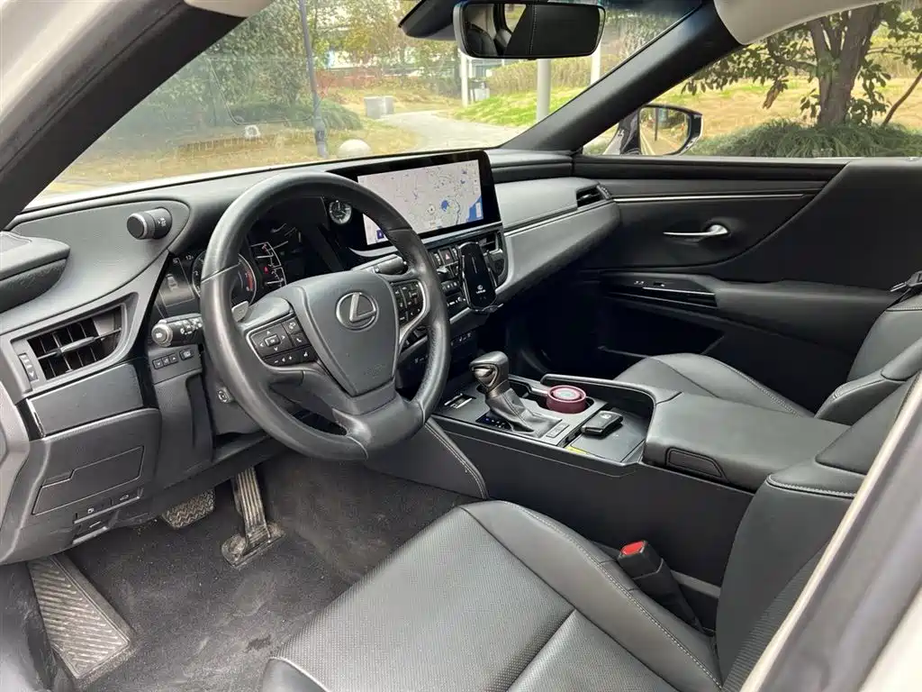 Lexus ES 2024 200 Premium Edition фото 8