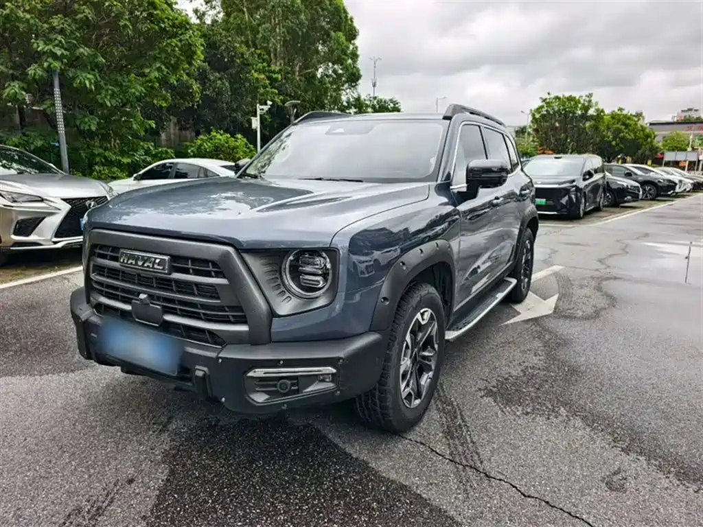 Haval Big Dog 2022 2.0T DCT 4WD Chinese Rural Dog Hunting Edition фото 2