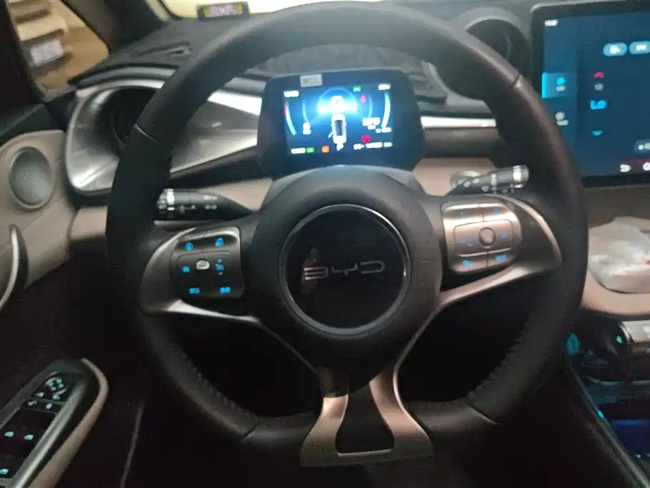 BYD Dolphin 2021 Model 405km Fashion Edition фото 15