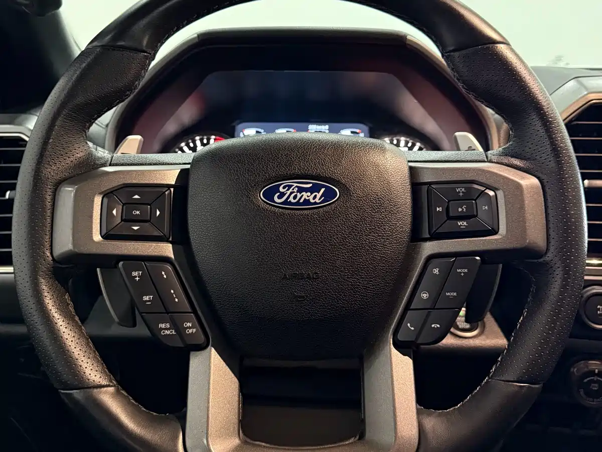 Ford F-150 Raptor 2018 2018 3.5T Raptor Performance Enhanced Edition