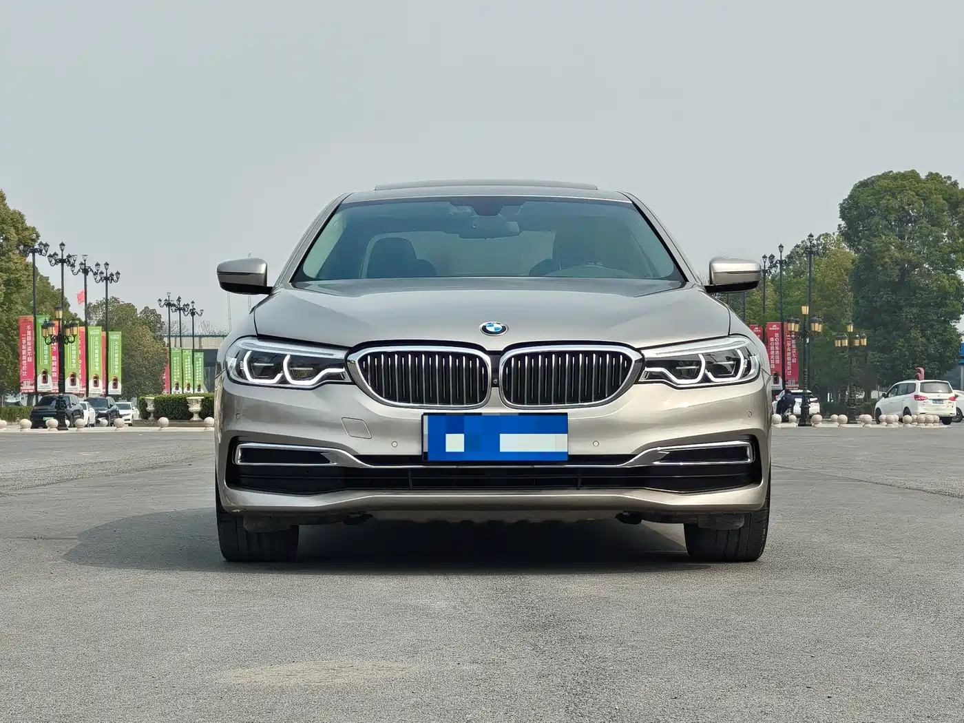 BMW 5 Series 2019 530Li Premium Luxury Package фото 2