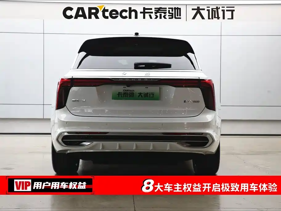 Hongqi E-HS9 2022 660km Qi Chang Edition (6-seater) фото 8