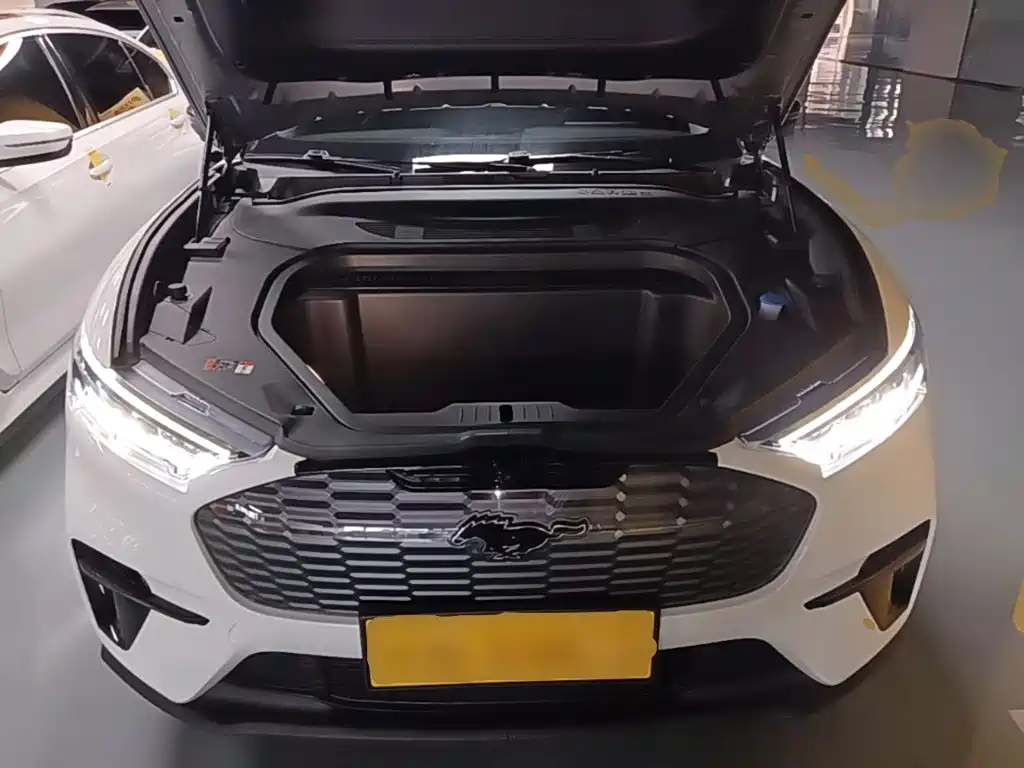 Ford Mustang Mach-E 2023 2021 Leap World RWD (Standard Range)