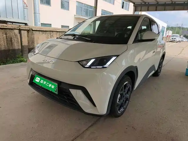 BYD Seagull 2025