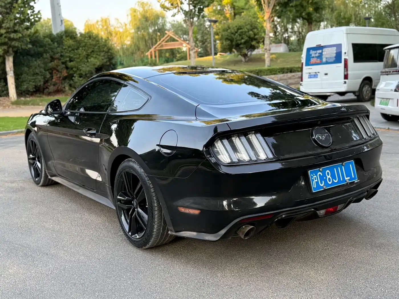 Ford Mustang 2016 2016 2.3T Sport Edition