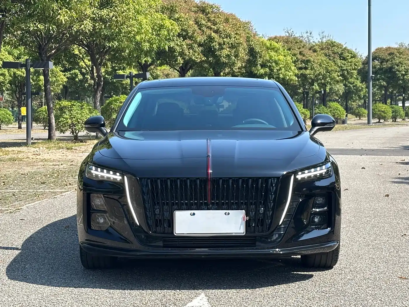 Hongqi H5 2024 1.5T DCT Smart Connect Flag Rhythm Edition фото 2
