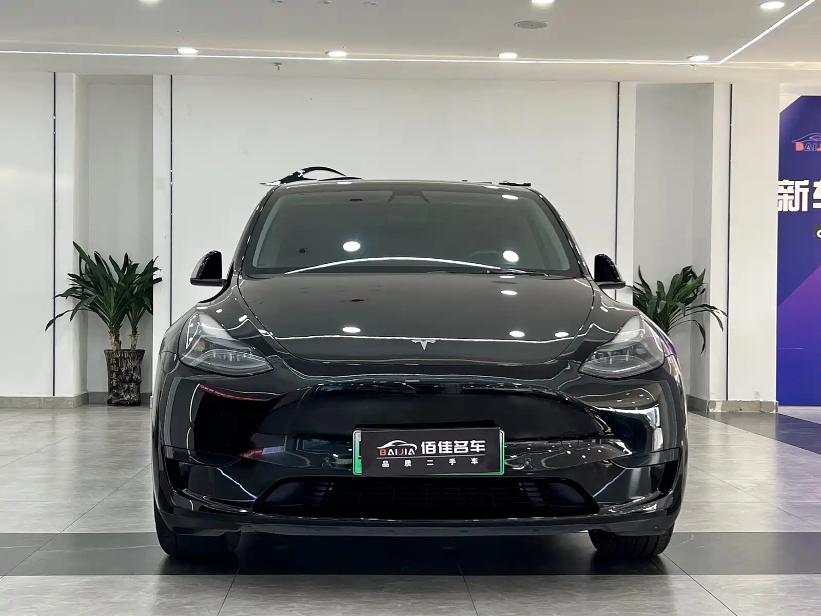Фото 2 - Tesla Model Y