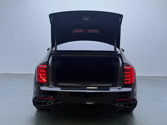 صورة 11 - Hongqi H9