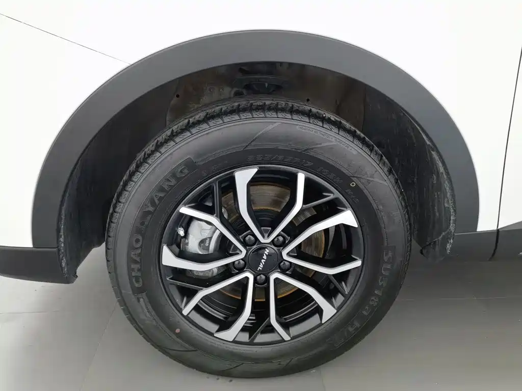 Haval H6 2025 2023 National Trend Edition 1.5T Automatic Urban