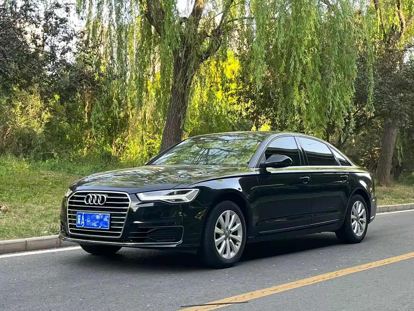 Audi A6L 2014 TFSI Standard