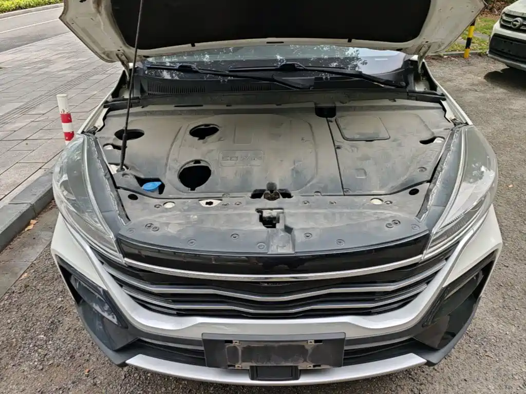 Cowin Xuanjie 2021 2020 Facelift 1.5L Manual Chao