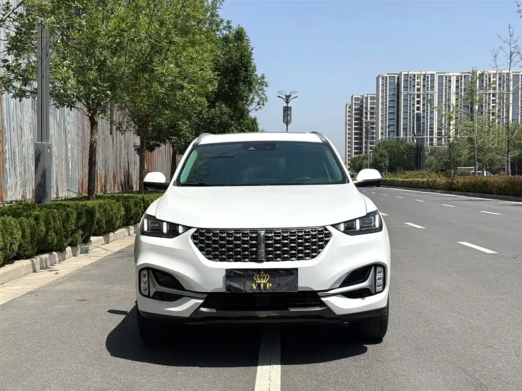 WEI PAI WEI BRAND VV6