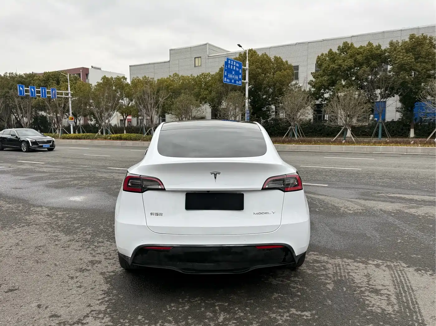 TESLA MODEL Y
