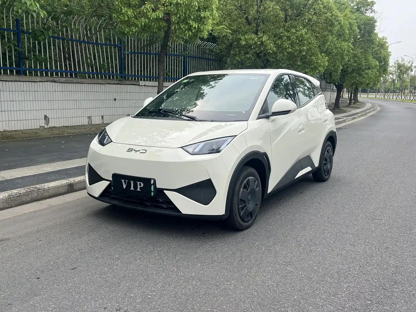 BYD Seagull 2025 Smart Drive Edition 305km Vitality Version