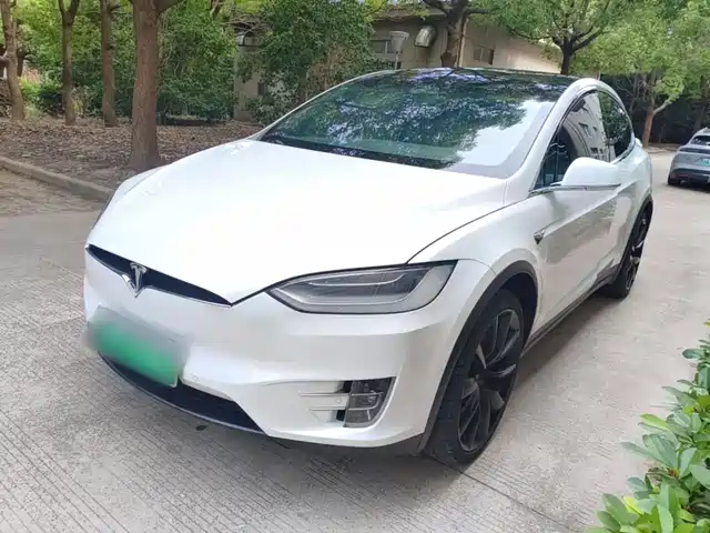  Tesla Model X 2019 Performance High-performance Version