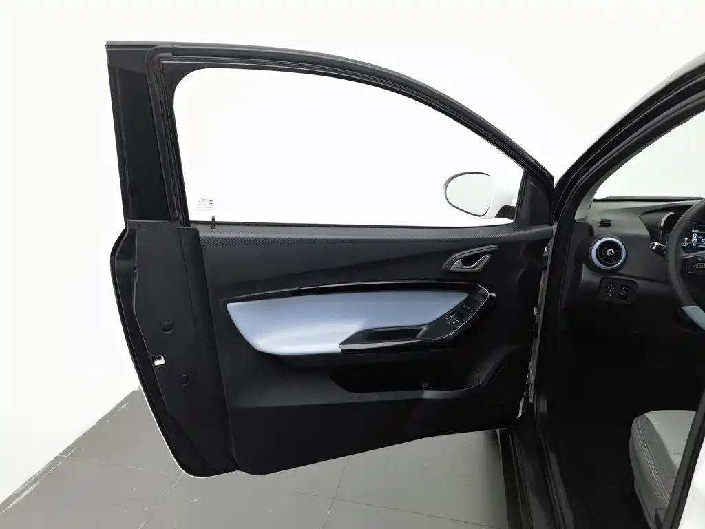 QQ New Energy Little Ant 2024 2024 251km Passion Edition