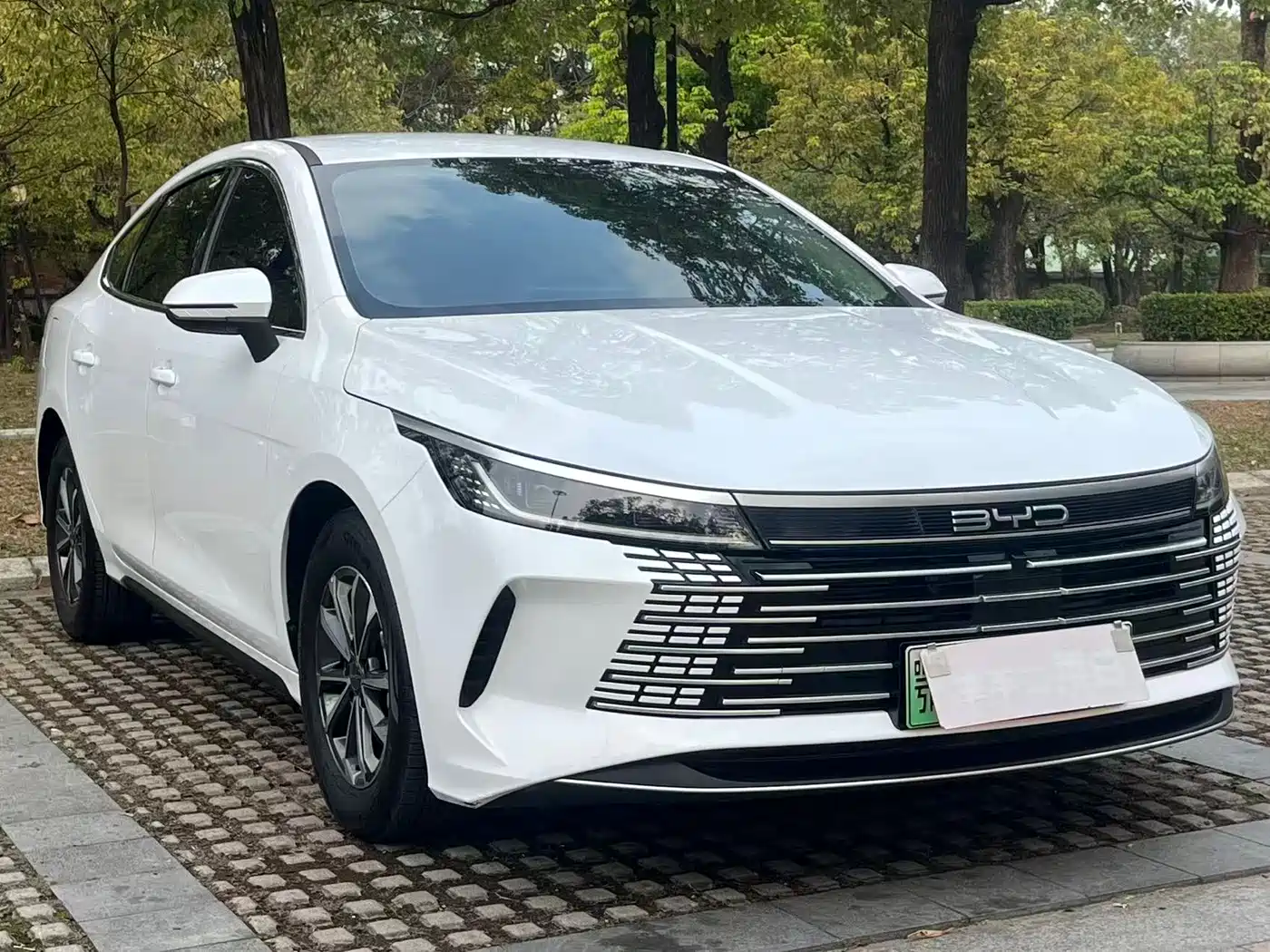 BYD Destroyer 05 2024 2024 Glory Edition DM-i 55KM Luxury