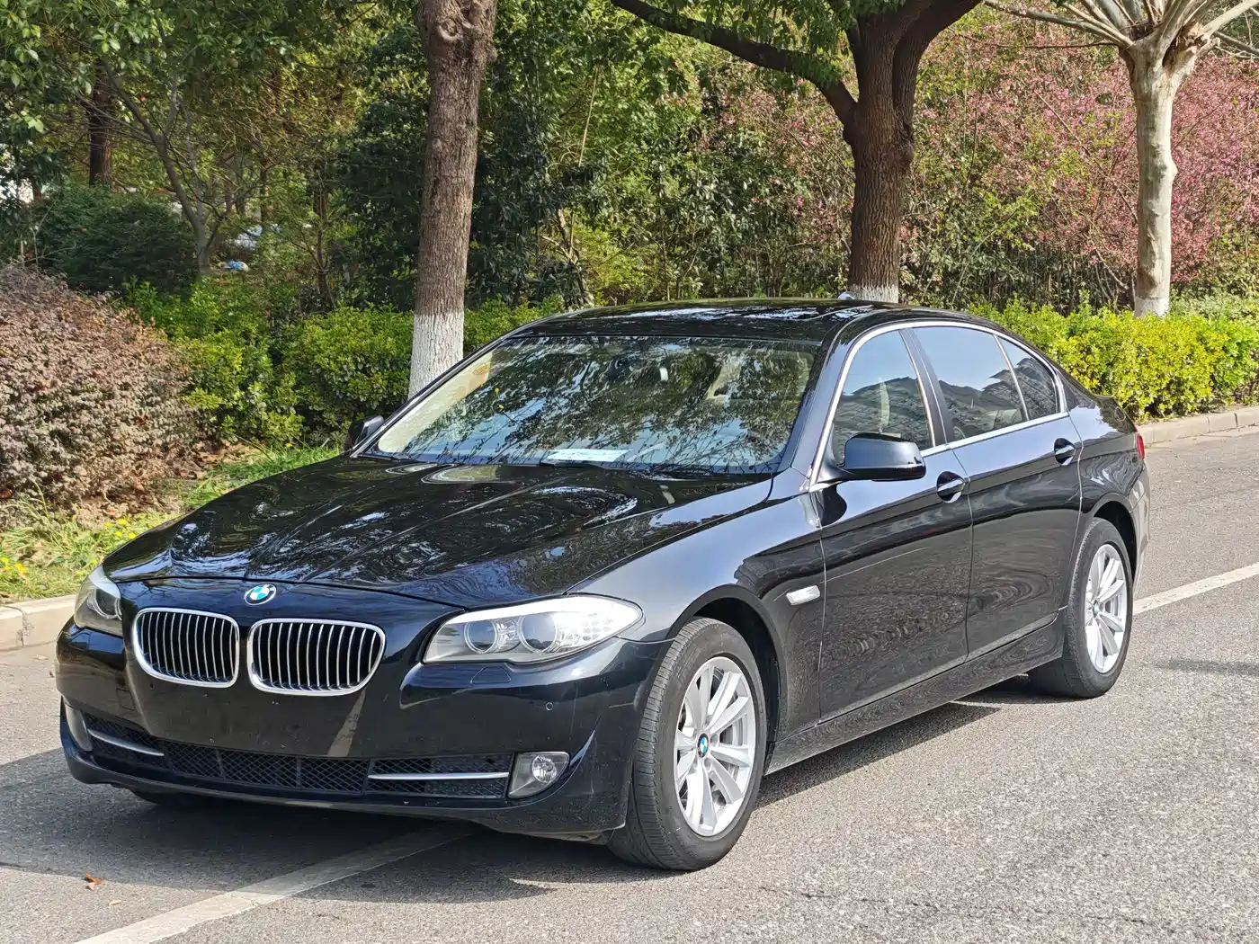 BMW 5 Series 2012 523Li Luxury фото 2