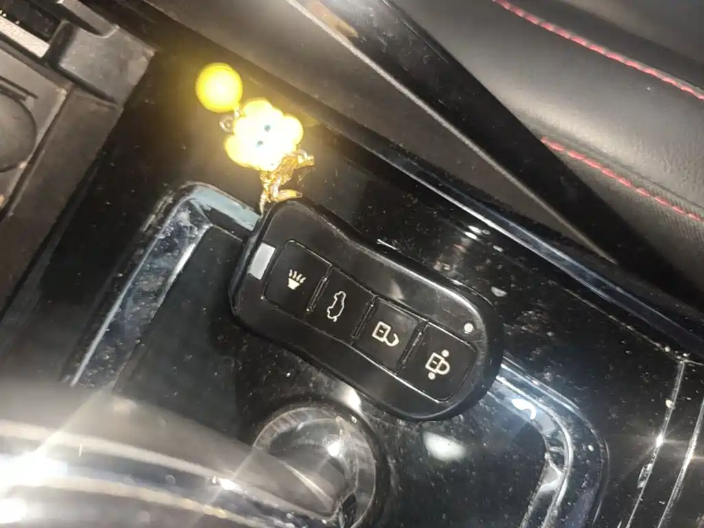 Фото 9 - Haima 8S