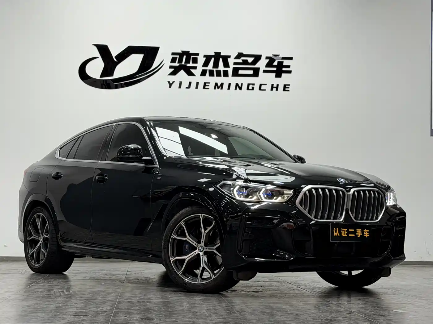 BMW X6