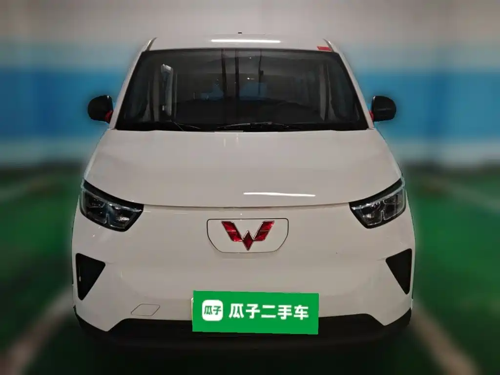 Wuling Motors Wuling Yangguang 2025 2024 300KM Comfort Bus Version 75kW
