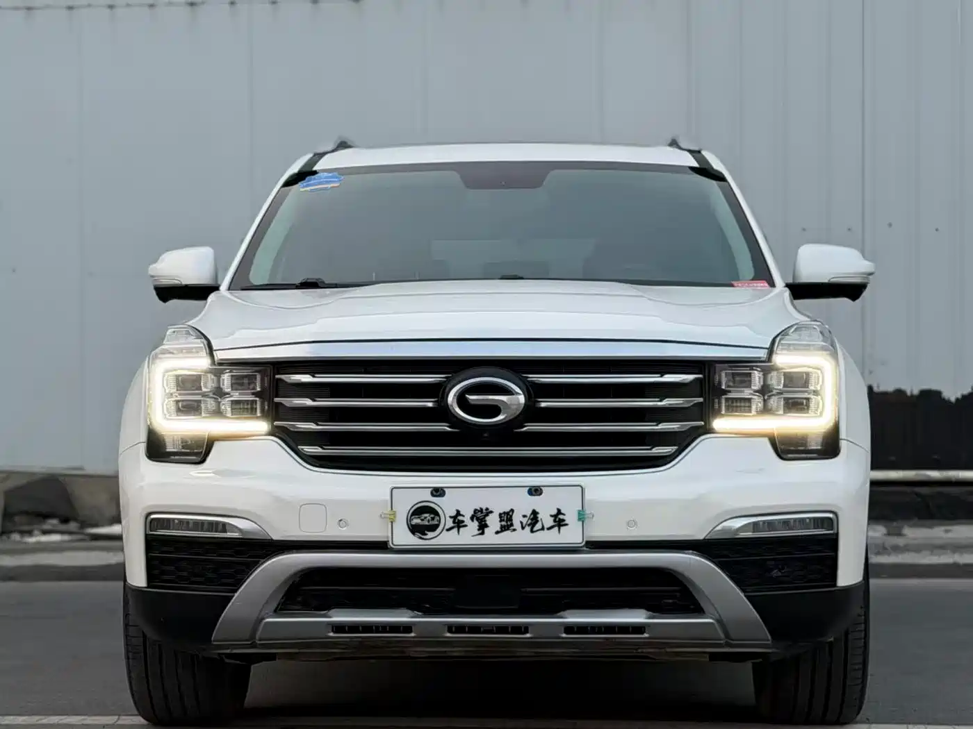 GAC Trumpchi Trumpchi GS8 2017 320T 2WD Luxury Smart Connect (7-seater) фото 2