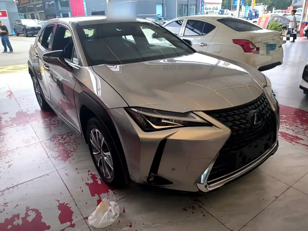 Lexus UX Electric 2022 2020 300e Pure Yue Edition