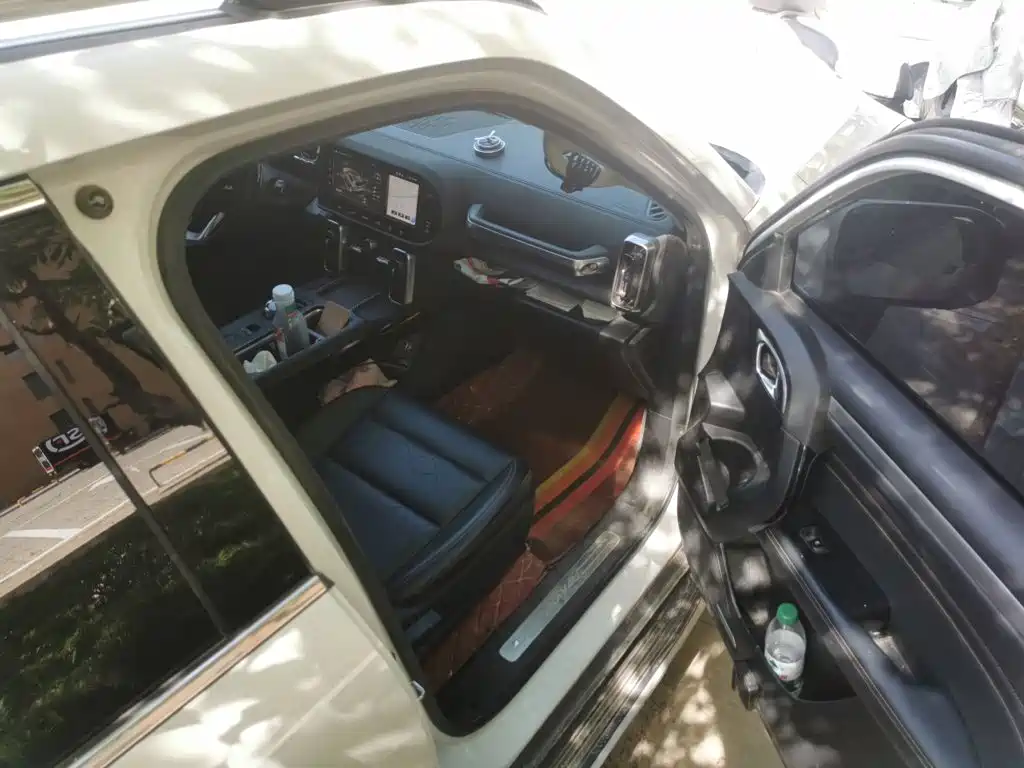 Haval Dargo 2021 2021 2.0T DCT 4WD Chinese Rural Dog Edition