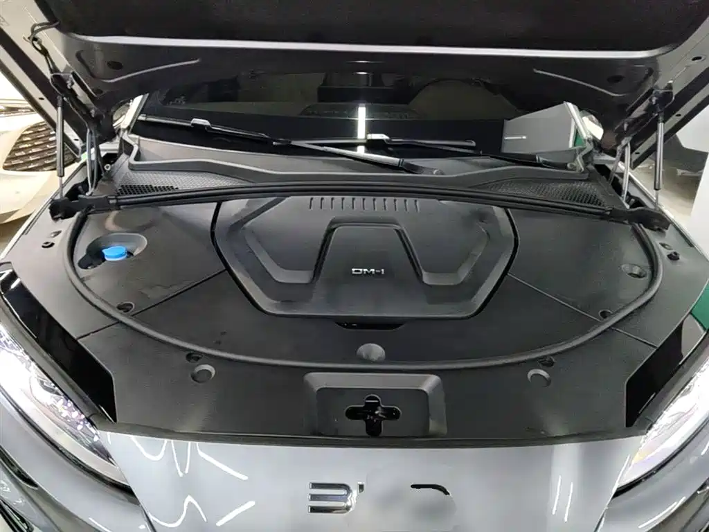BYD Song PLUS PHEV 2025 DM-i 112KM Honor фото 20