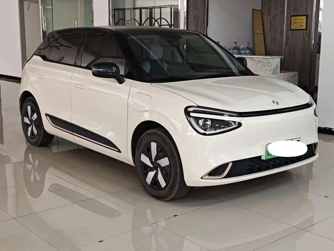 2025 Dongfeng Yipai Nano 01