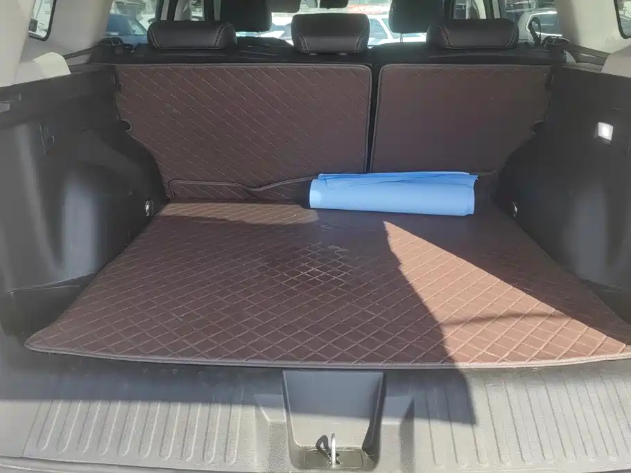 Haval Dargo 2025 2024 2.0T DCT Chinese Rural Dog Edition