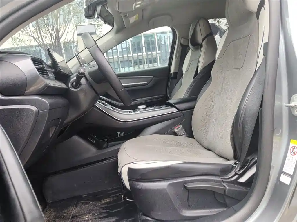 BYD Destroyer 05 2023 Champion Edition DM-i 55KM Luxury фото 12