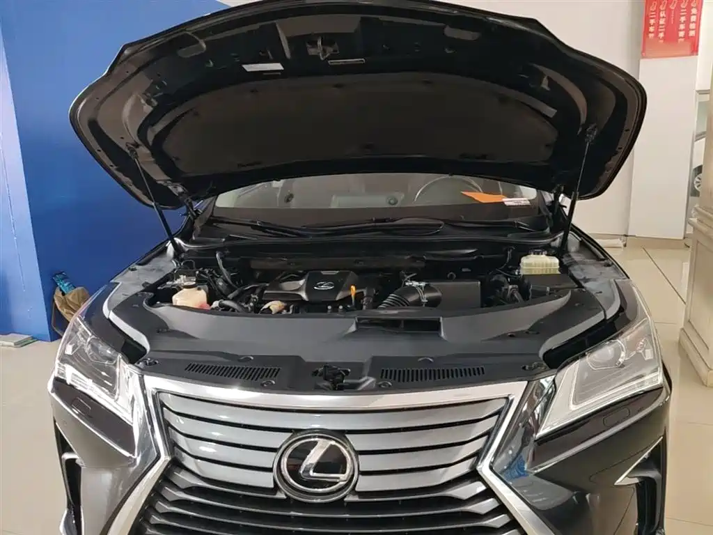 Lexus RX 2016 300 2WD Elite Edition (China V) фото 20