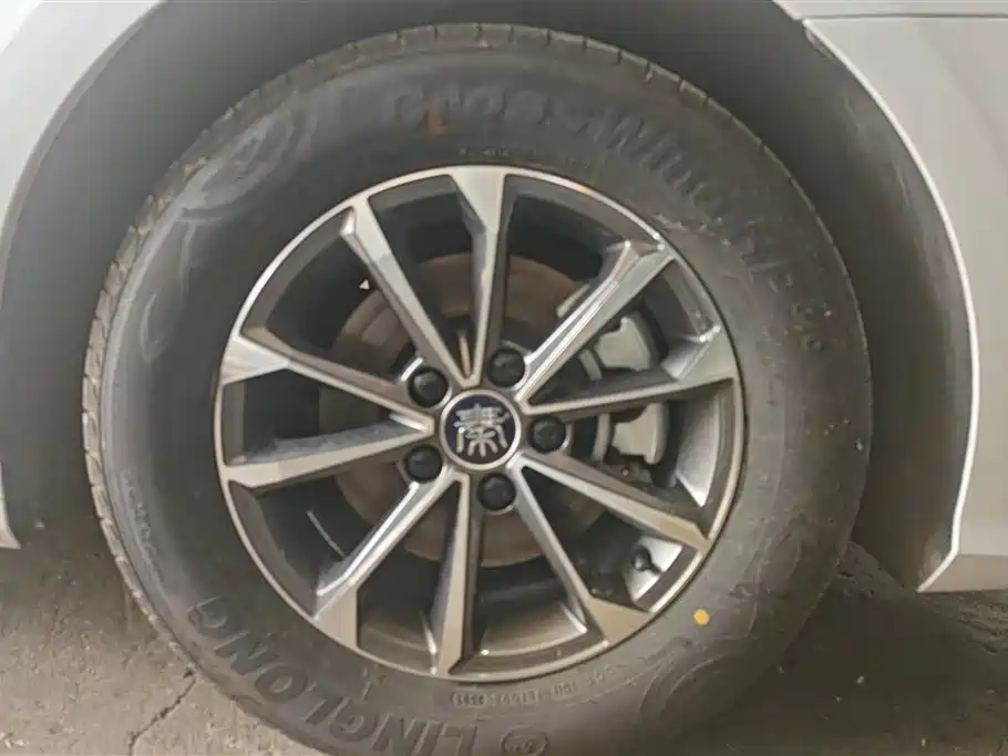 BYD Qin PLUS 2023 Champion Edition DM-i 55KM Leading фото 6