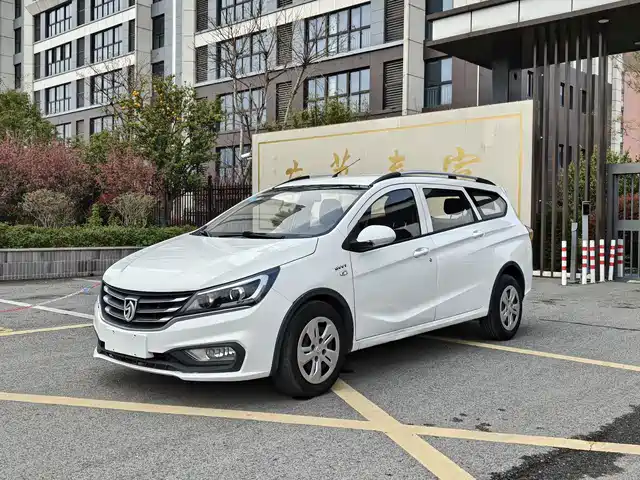 BAOJUN 310W