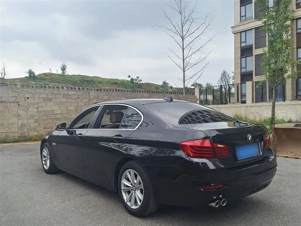 BMW 5 Series 2014 520Li Elegance фото 5