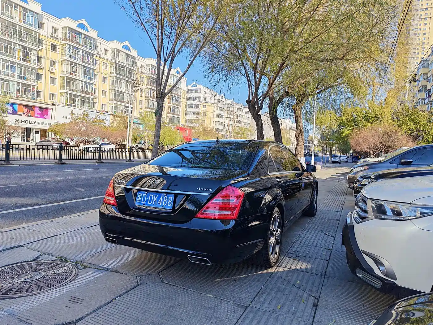 Mercedes-Benz S-Class 2010 S 300 L Premium фото 4