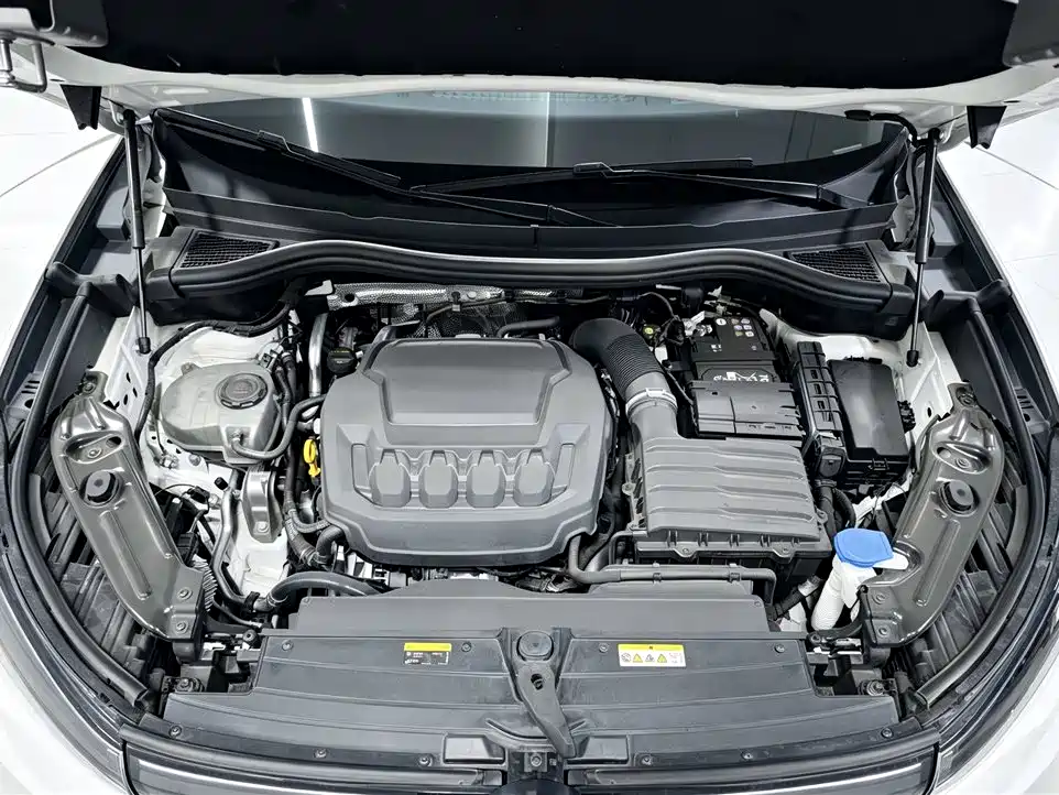 صورة 31 - Volkswagen Tiguan L